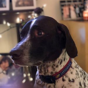 Meet your Posher, Brandy